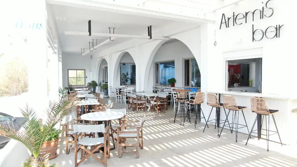 Bar, Artemis, Mykonos
