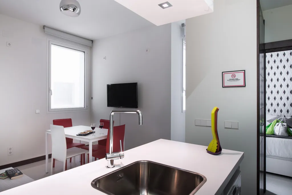 General view, Roisa Suites, Madrid