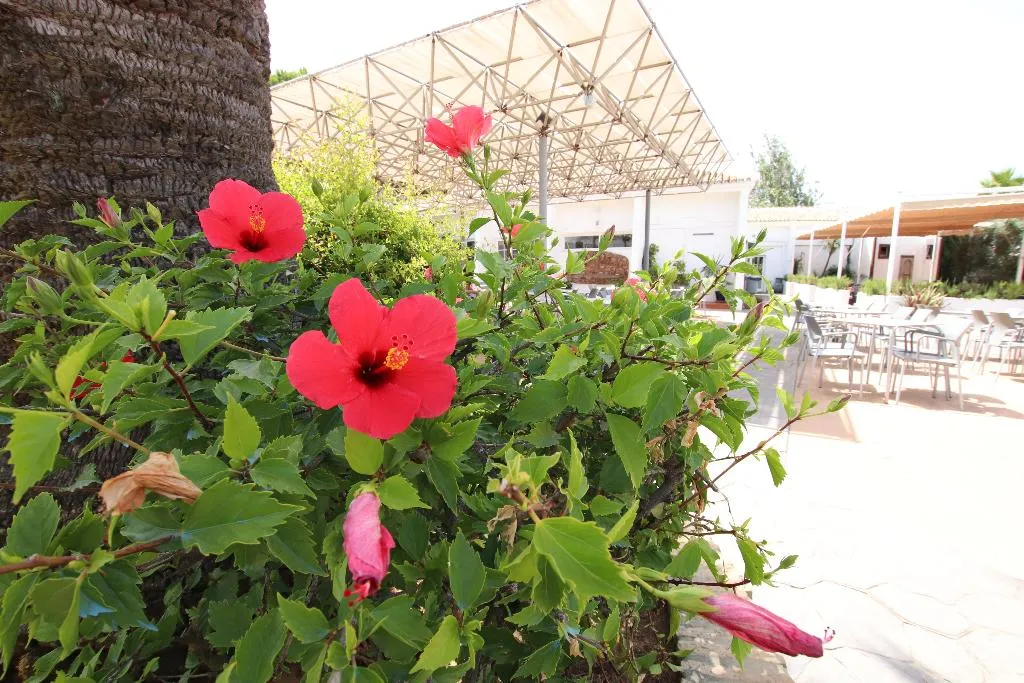 Terrace, Ohtels Carabela, Costa De La Luz