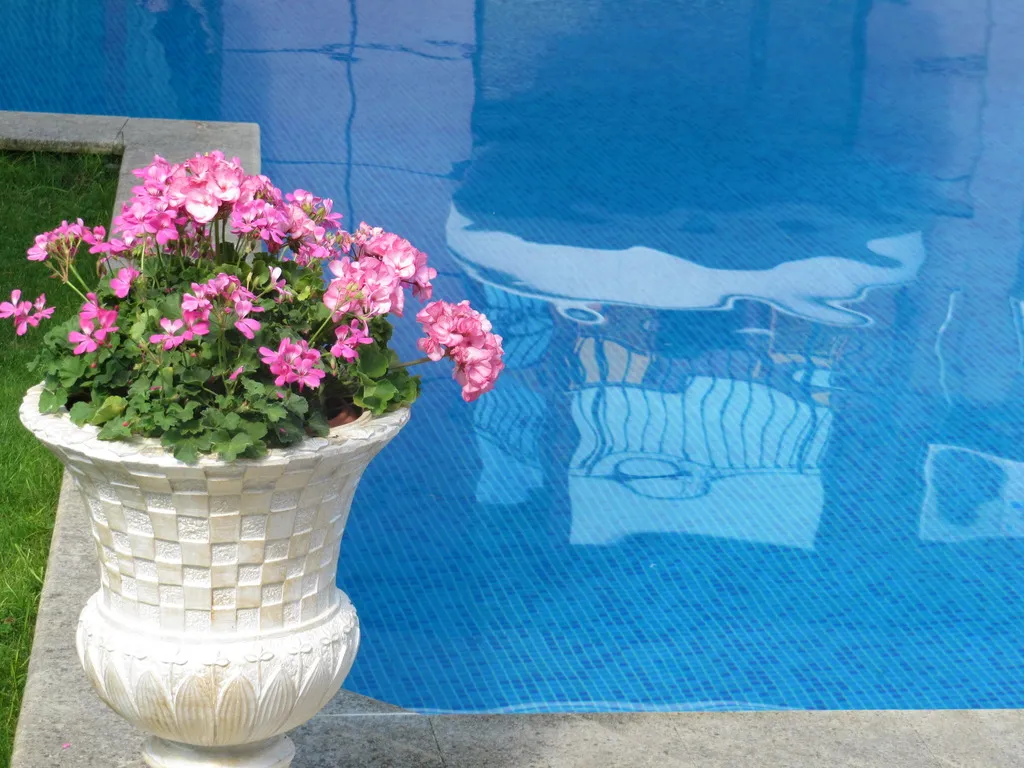 Pool, Kristel, Varna