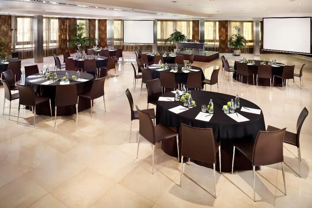 Conferences, Melia Madrid Princesa, Madrid
