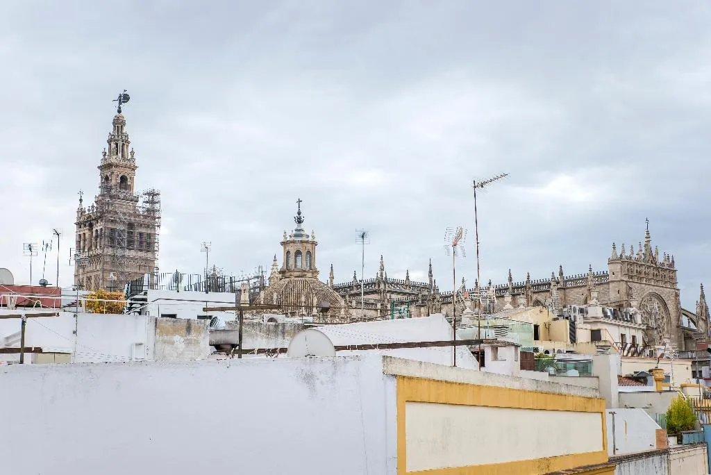 Terrace, Petit Palace Marques Santa Ana, Seville