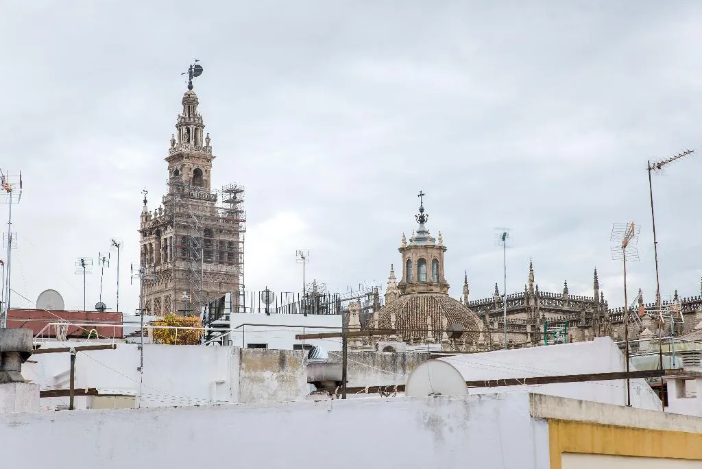 Terrace, Petit Palace Marques Santa Ana, Seville