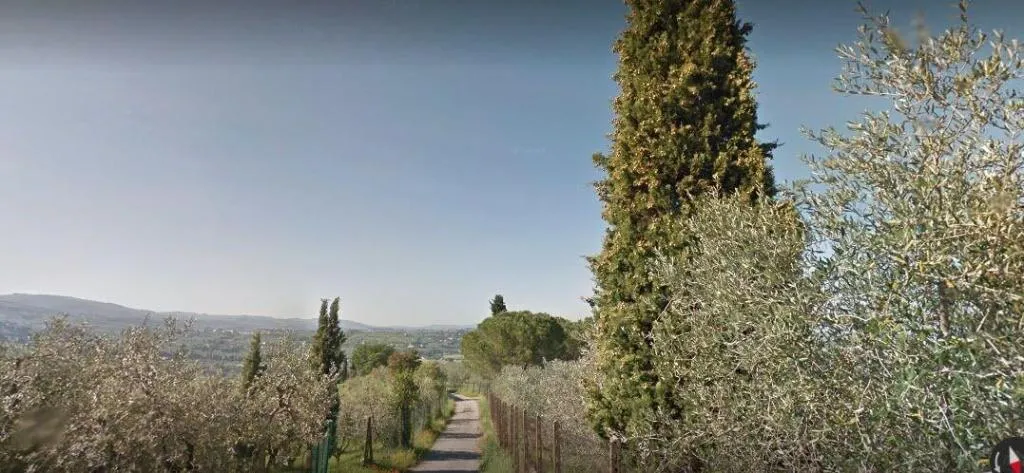 General view, A Casa Di Olivo, Florence