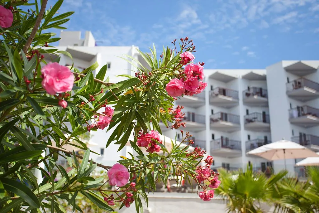 General view, FERGUS Bermudas, Majorca