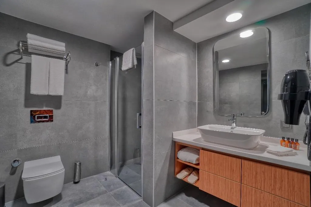DOUBLE BUSINESS Room, Ibos Hotels Izmir, Izmir
