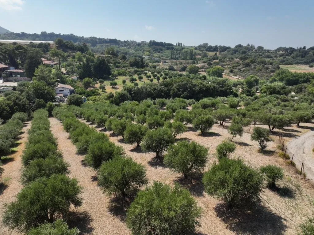 General view, Agrology Lux, Rhodes