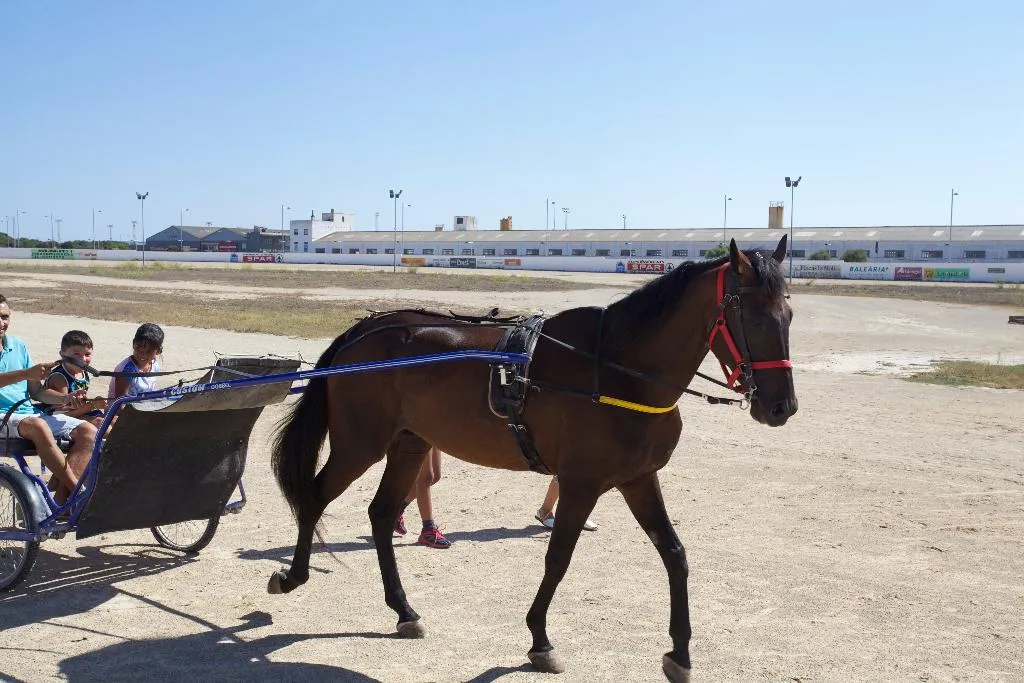 Sports and Entertainment, Starbal, Menorca