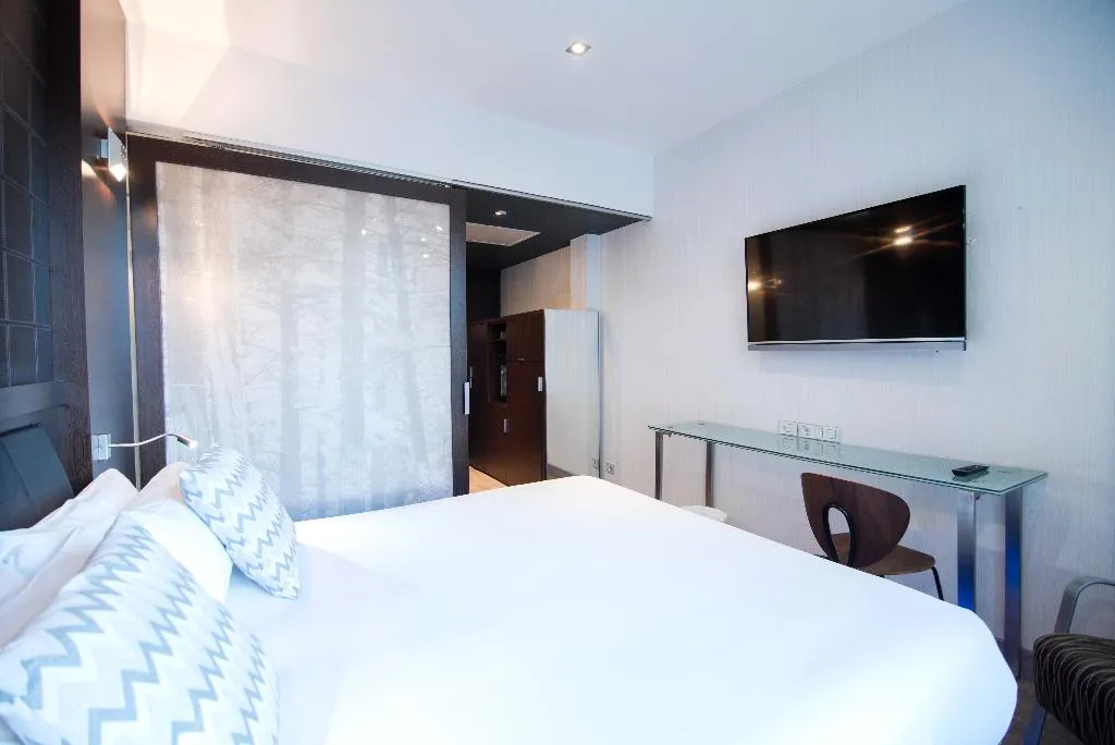DOUBLE STANDARD Room, Petit Palace President Castellana, Madrid