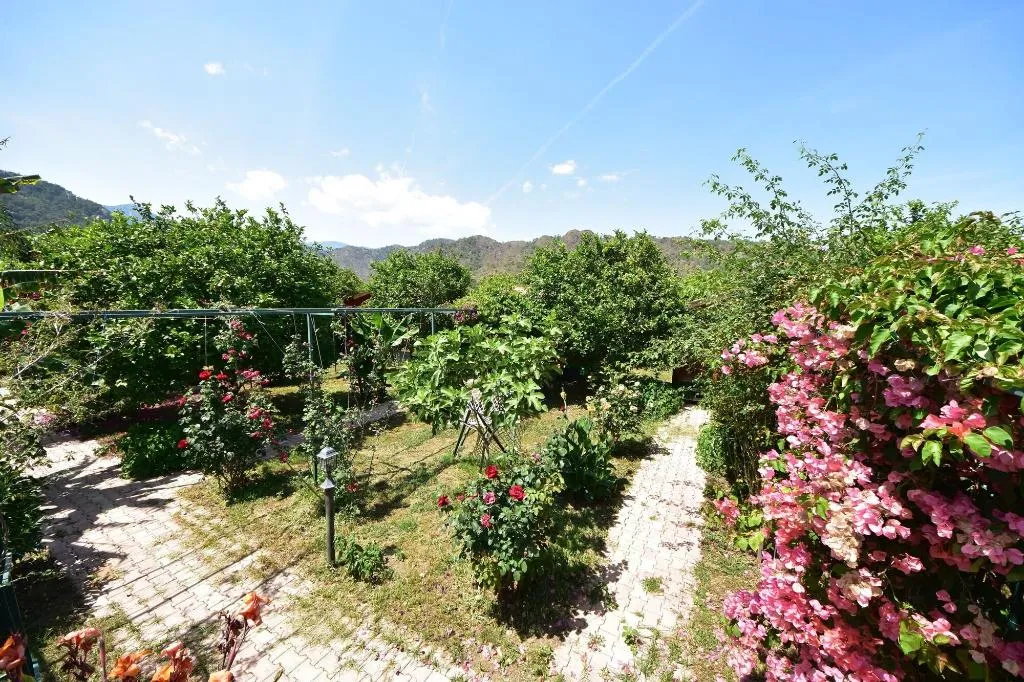 General view, Lemon Garden Lodge, Antalya