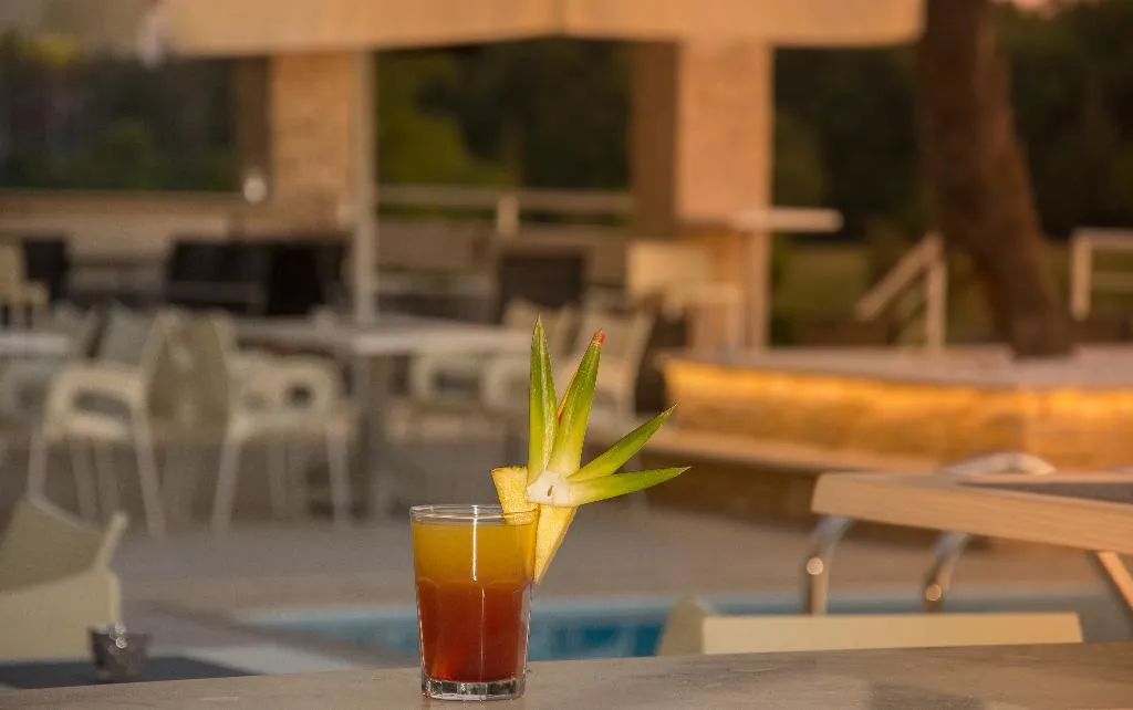 Bar, Aparthotel Adeo, Istria