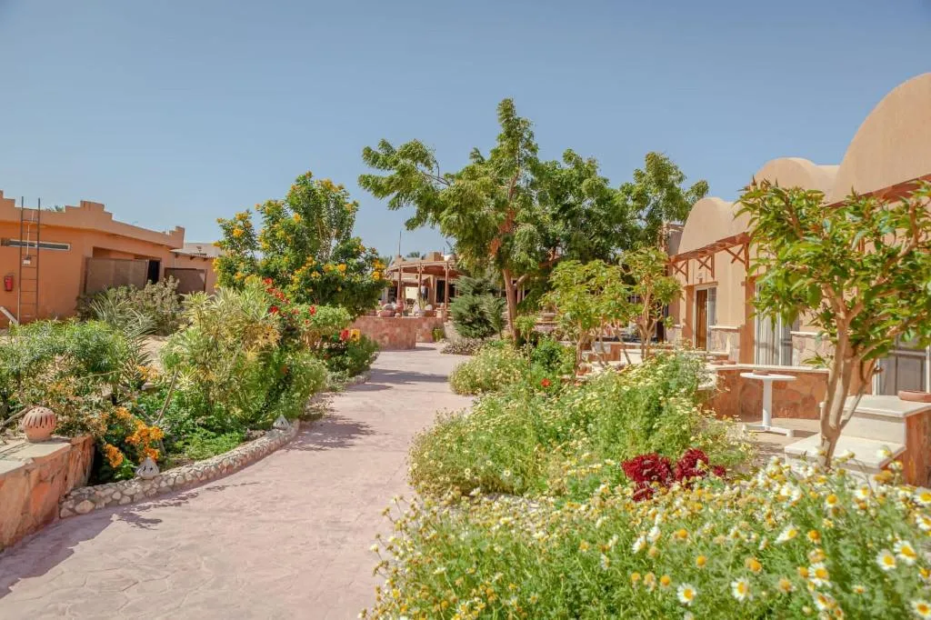 General view, Silver Beach Boutique Hotel, Red Sea Riviera