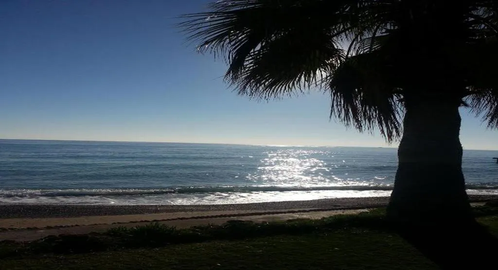 Sports and Entertainment, Hotel Sea Gull - All Inclusive, Antalya