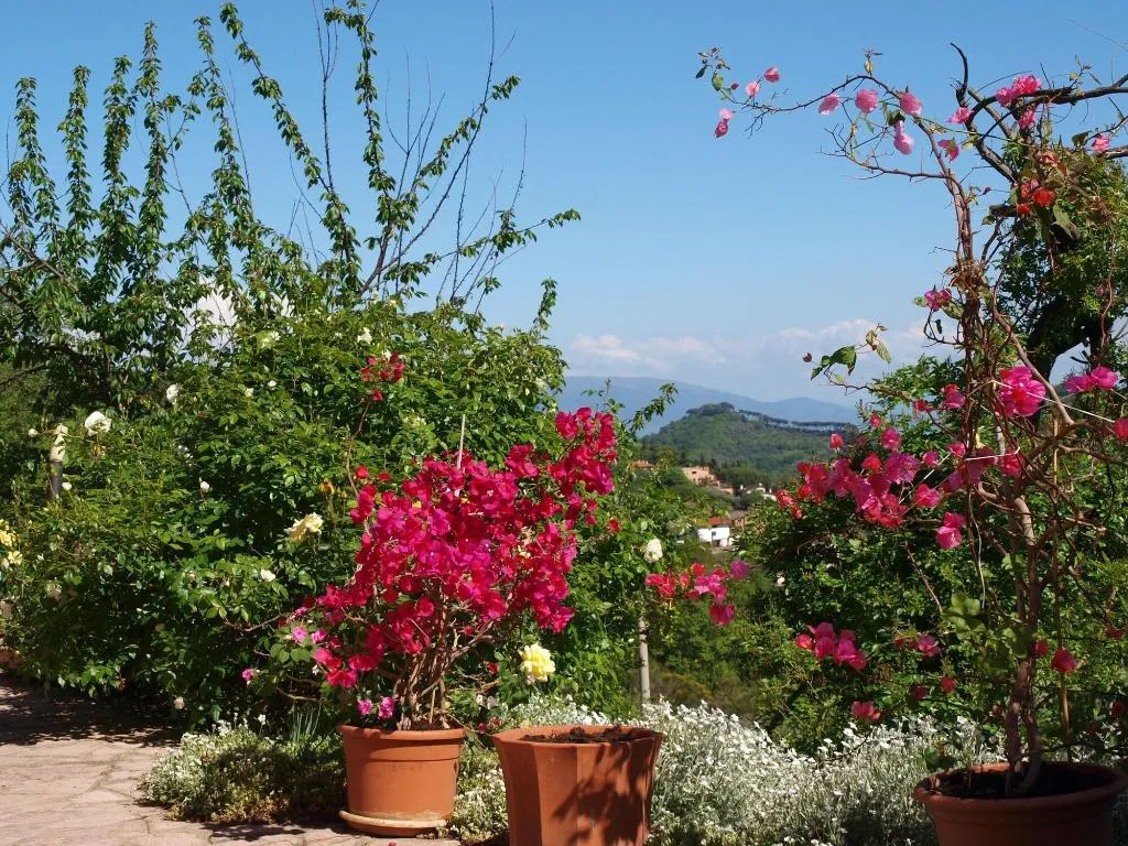 General view, C'era una volta B&B, Umbria