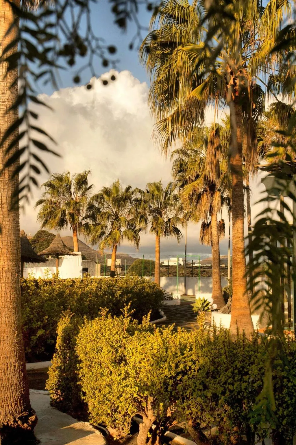 Terrace, Finca La Florida, Lanzarote