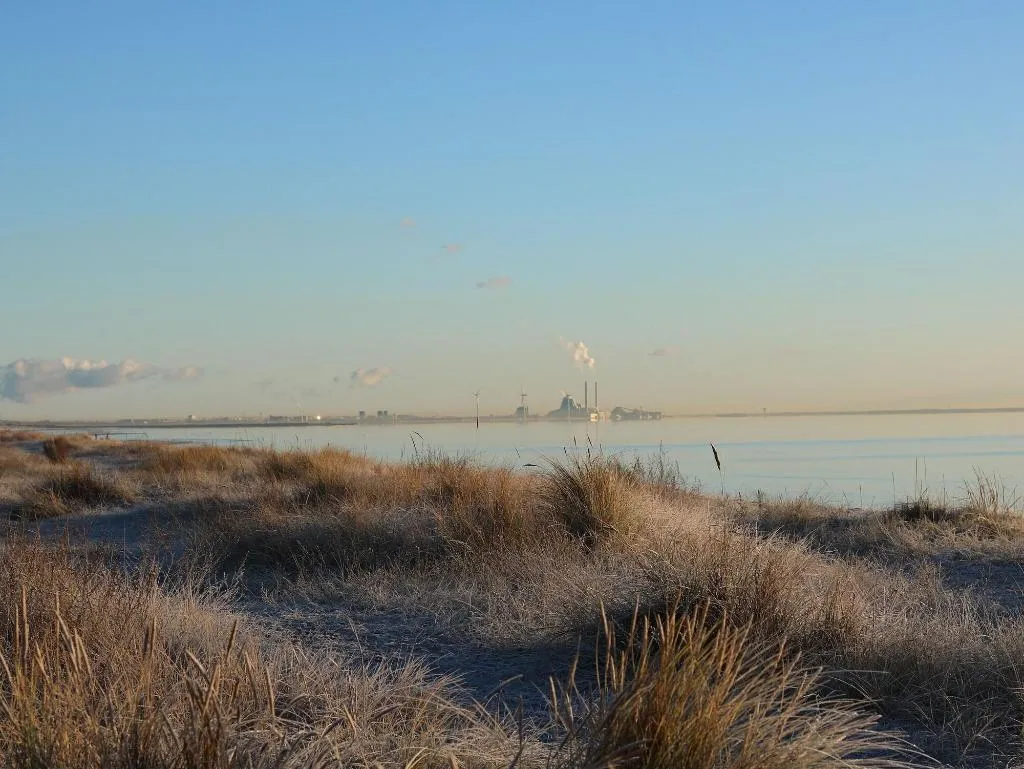 Beach, Strandmotellet, Copenhagen