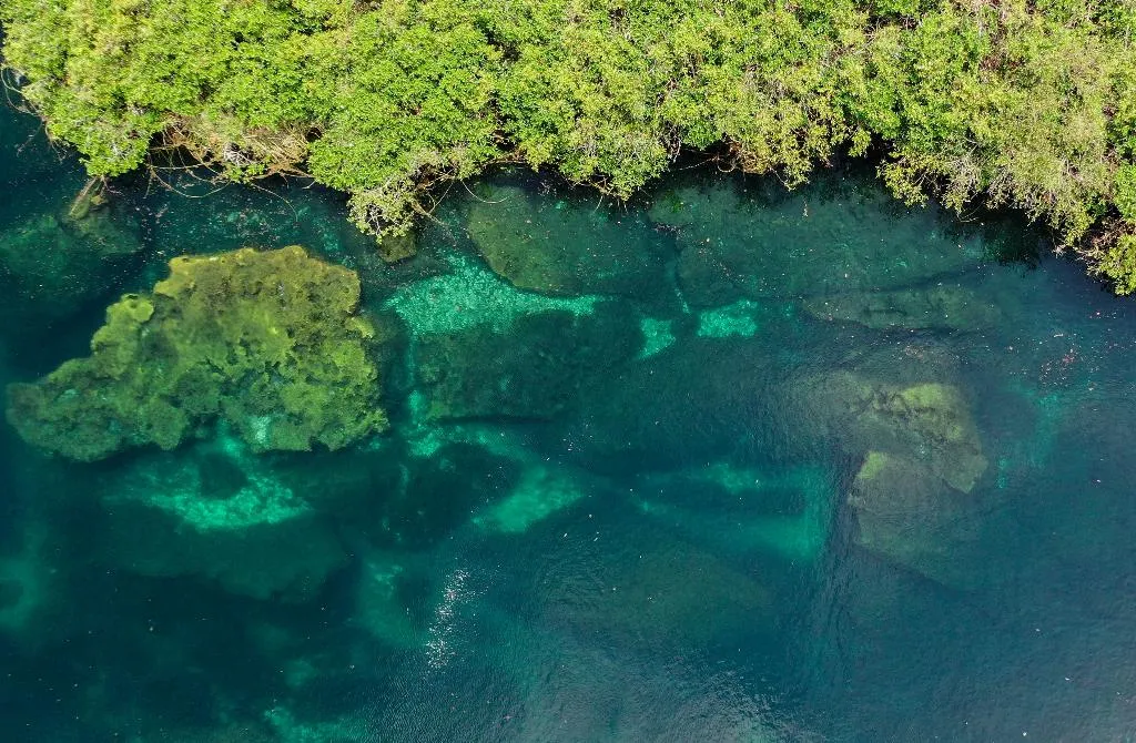 DOUBLE SUPERIOR WITH VIEWS Room, Cormoran Boutique Hotel & Private Cenote Tulum, Cancun Area
