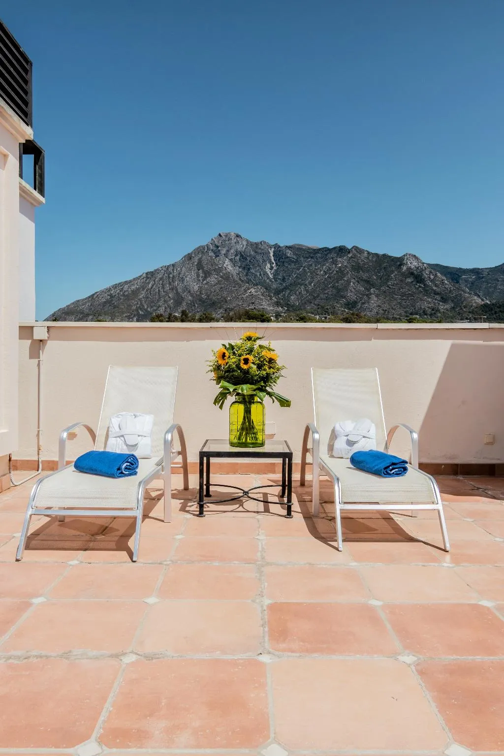 APARTMENT ONE BEDROOM Room, Guadalpin Suites, Costa Del Sol