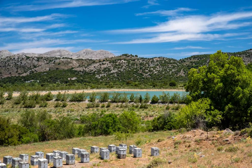 General view, Vasilikata, Crete