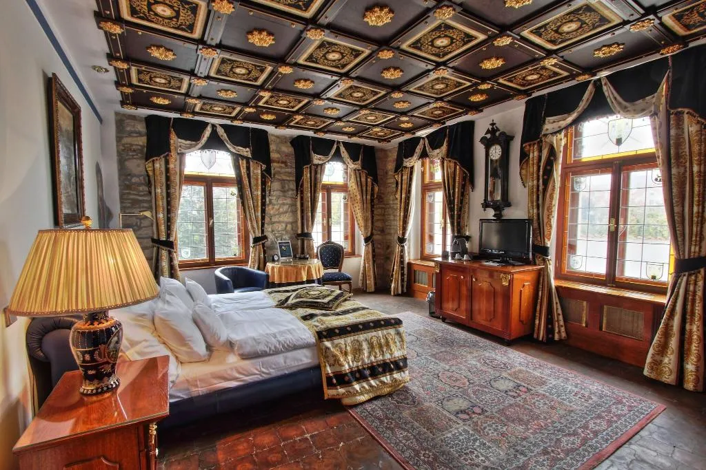 Room, U Pava, Prague