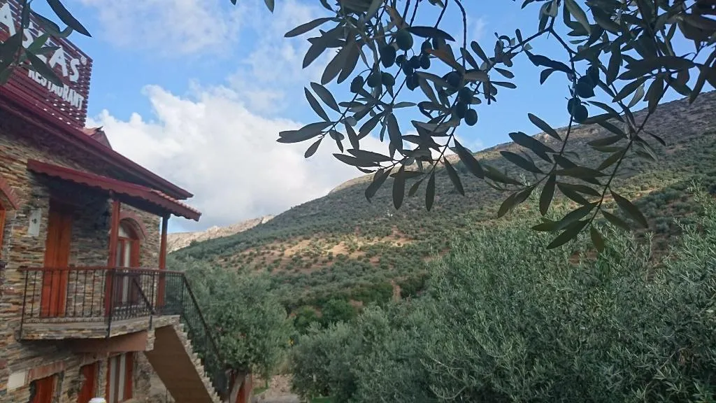 General view, Sirince Klaseas Hotel & Restaurant, Izmir