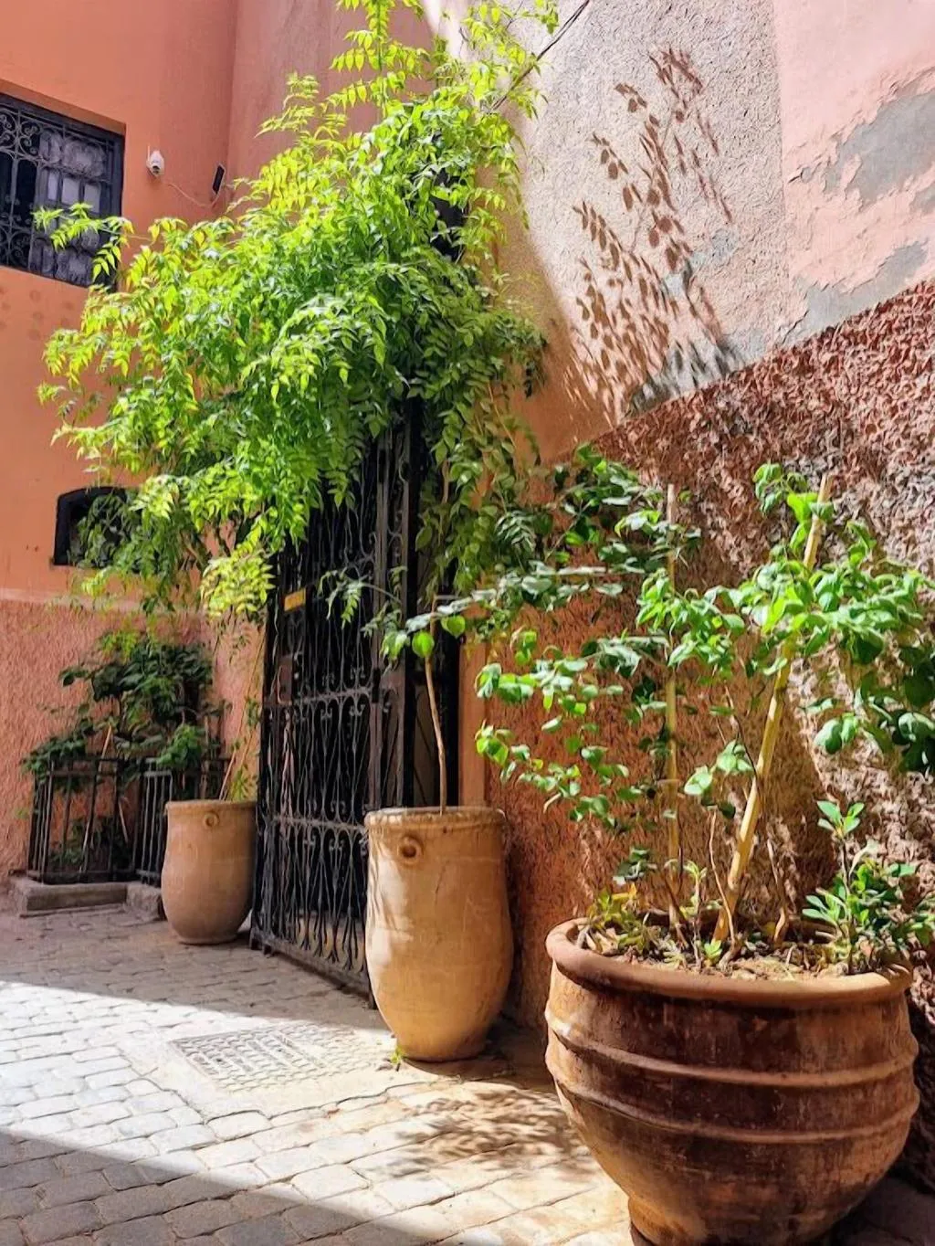 General view, Riad Dar Serenity, Marrakech