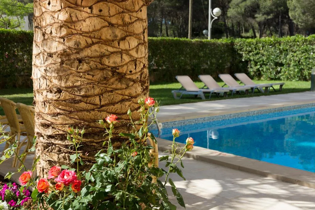 Terrace, Tres Torres, Majorca