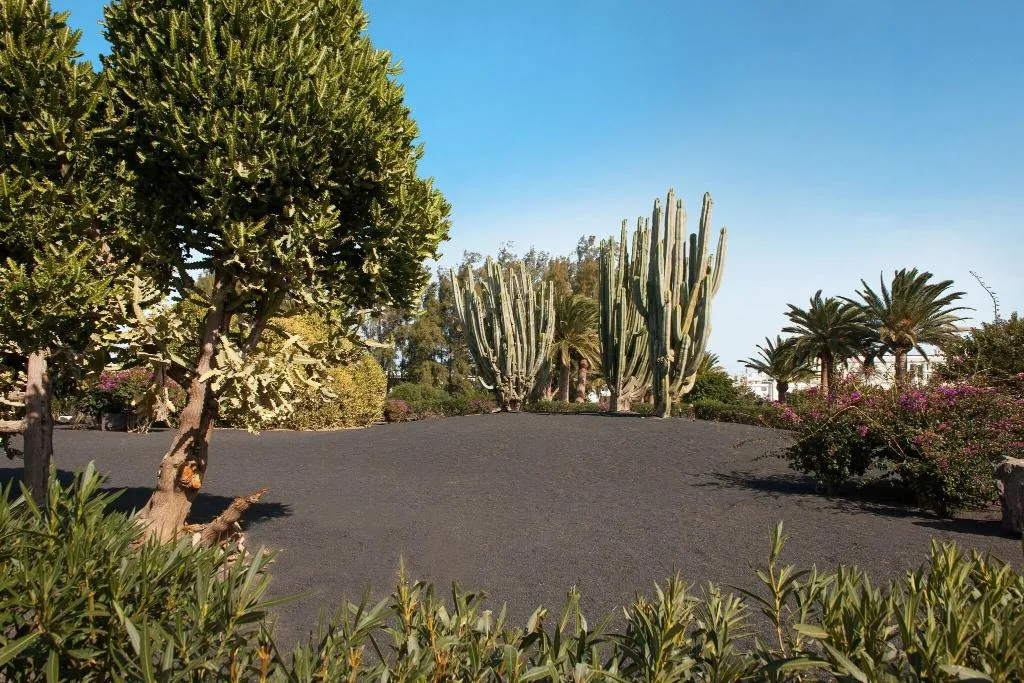 General view, Relaxia Olivina, Lanzarote