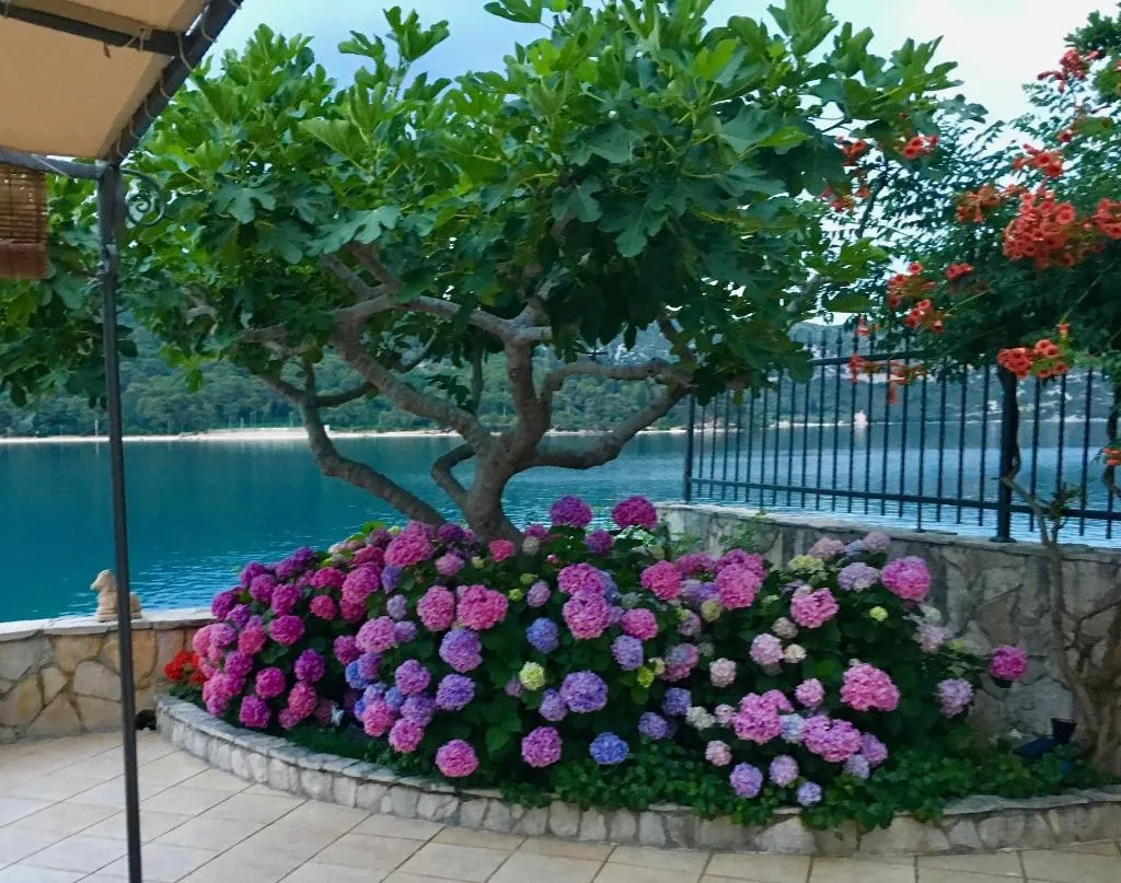 General view, Villa Almadria Luxury Bed & Breakfast Adults Only, Dubrovnik