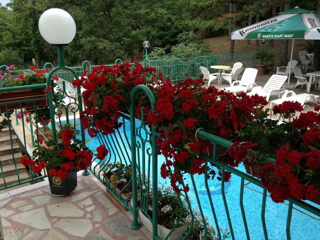 Restaurant, Zora, Bourgas