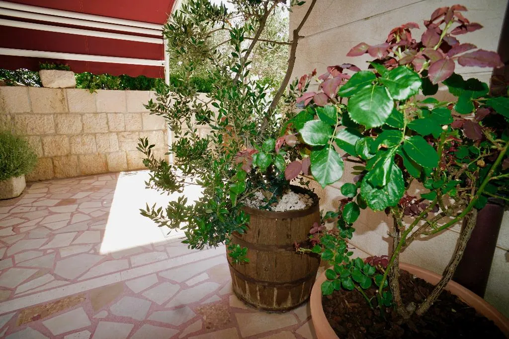Lobby, Villa Rustica Dalmatia, Split