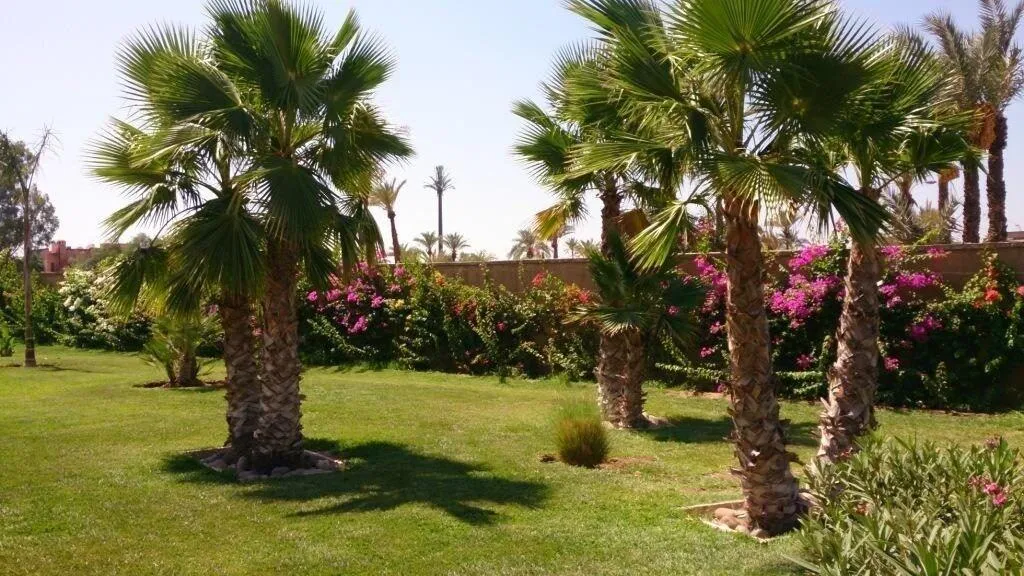 General view, Eden Lodges, Marrakech