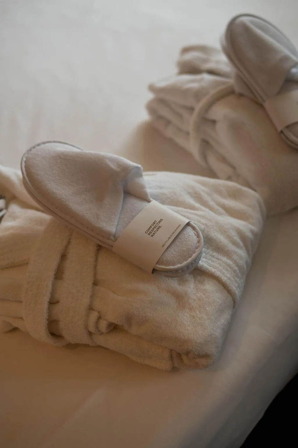 DOUBLE EXECUTIVE QUEEN BED Room, Axolute Comfort Hotel - Cantu, Milan