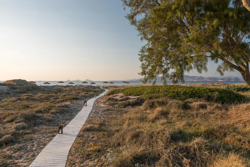 Beach, White Pearls Luxury Suites Adults Only, Kos