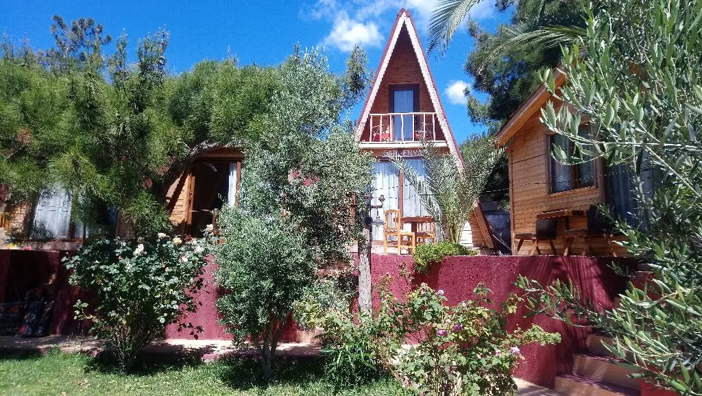 Lobby, Gai̇a Bungalow, Izmir