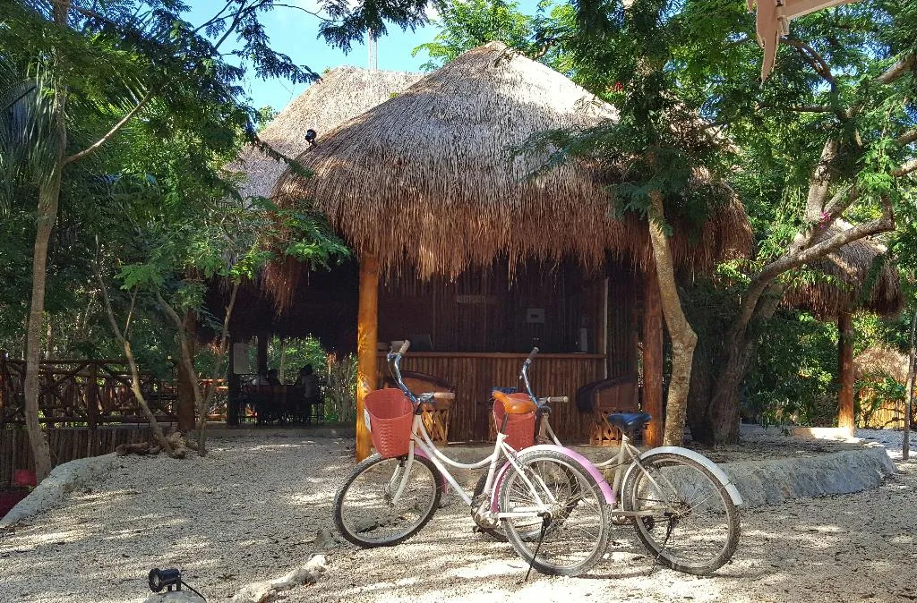 Lobby, Akumal Natura Glamping, Playa Del Carmen