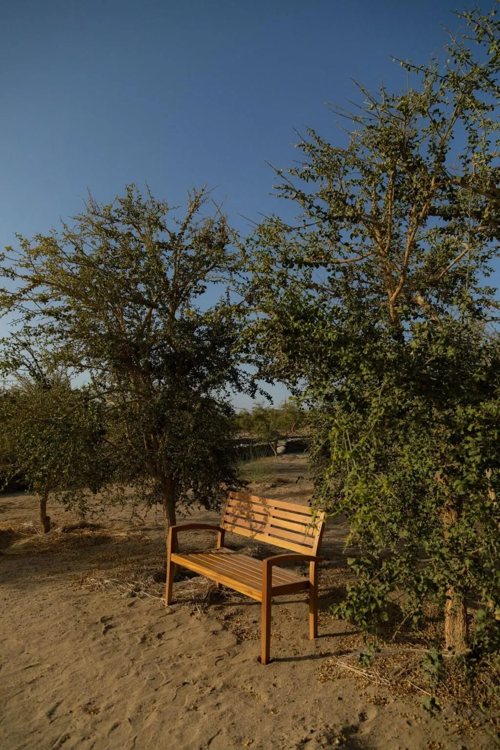 General view, Wadi Sabarah Lodge, Red Sea Riviera