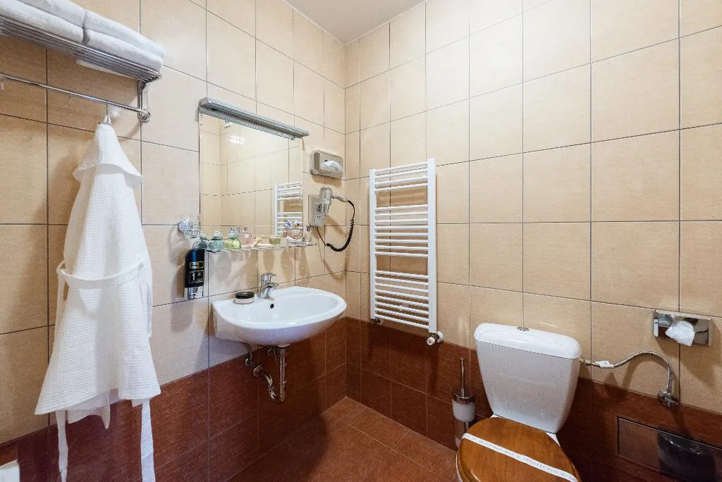 SINGLE STANDARD Room, Hotel Libero, Prague
