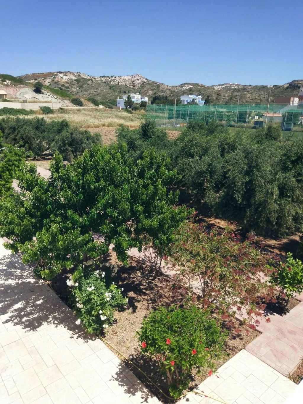 General view, Eleni Hotel, Kos