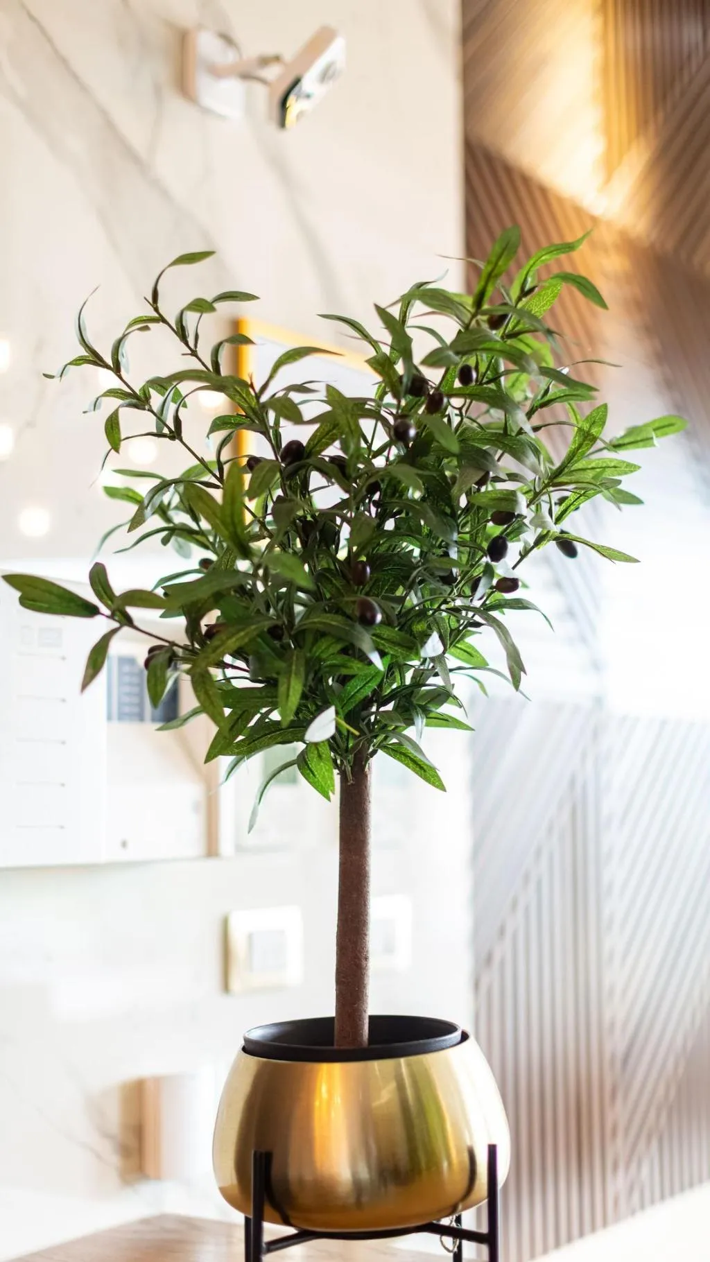 Lobby, Ames Hotel & SPA, Kavaje