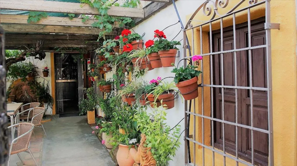General view, Casona Granado, Andalucia