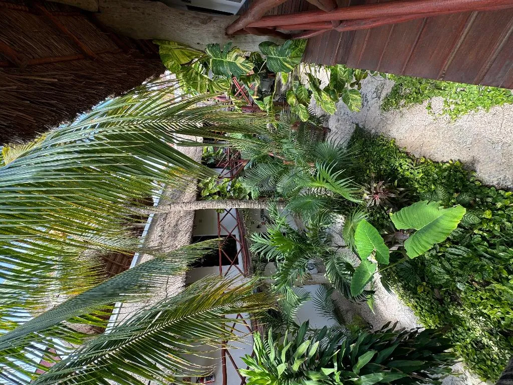 General view, Kin Ha Tulum Hotel, Cancun Area