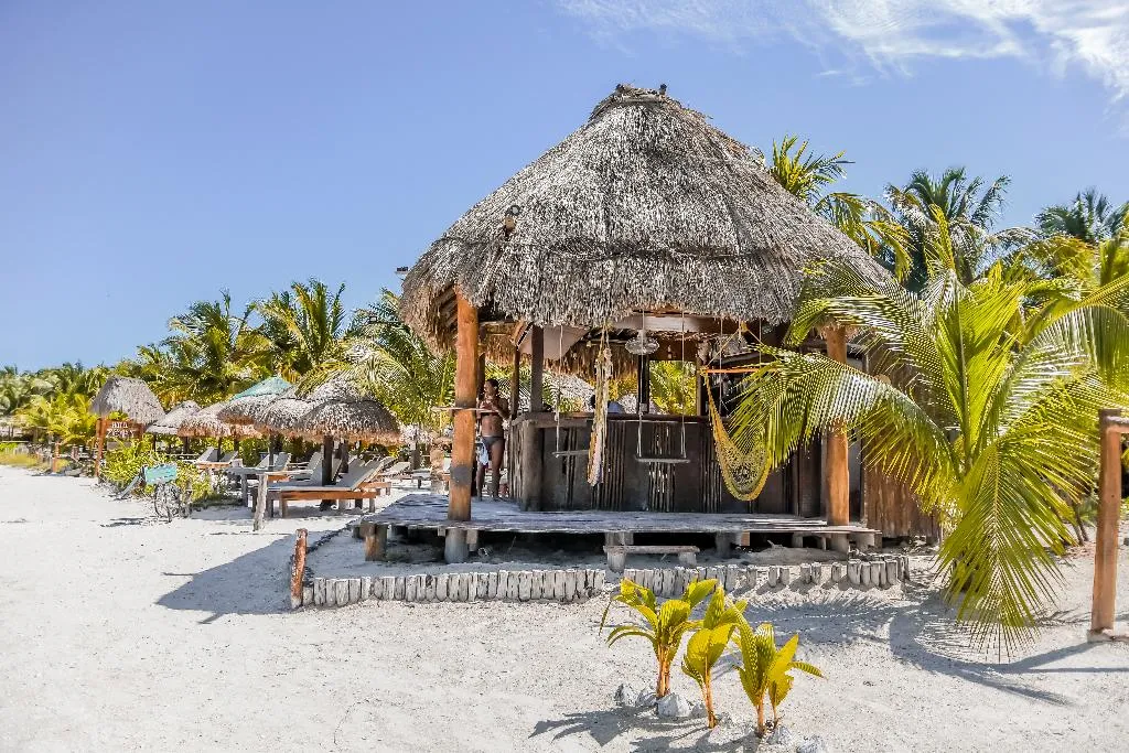 Bar, Zomay Beachfront Holbox, Cancun Area