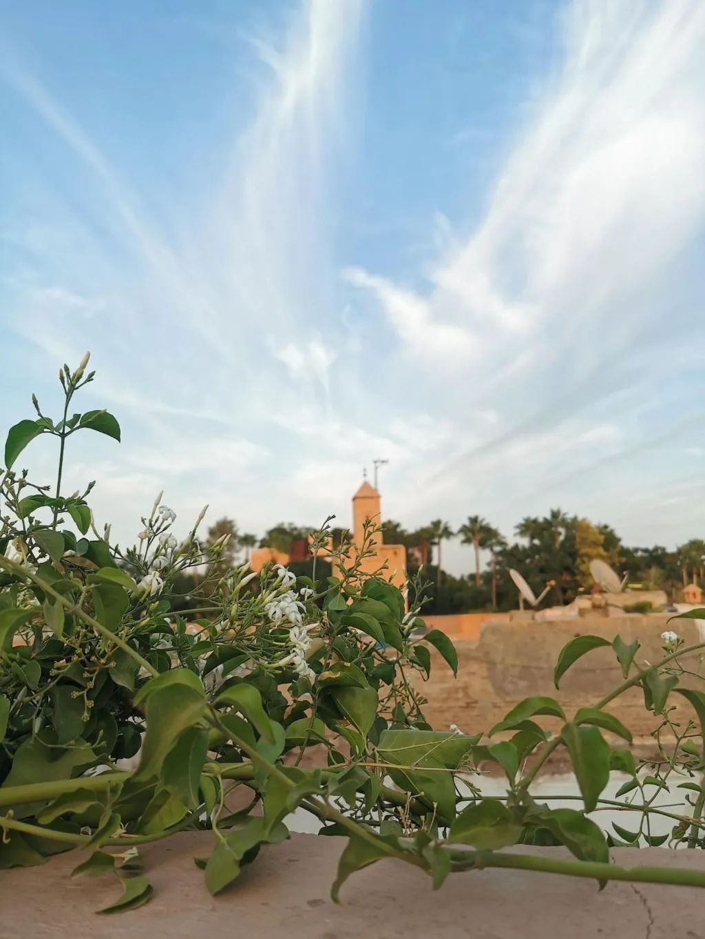 General view, Riad Beata, Marrakech