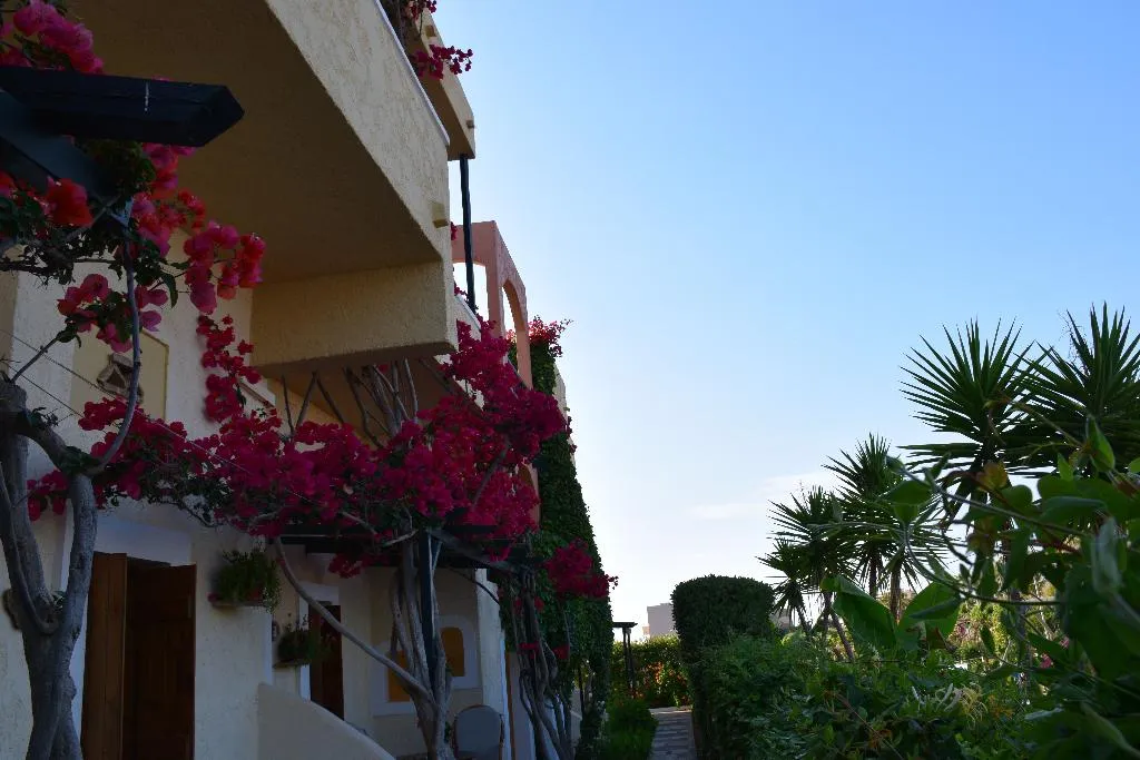 Terrace, Mila malia studios hotel, Crete