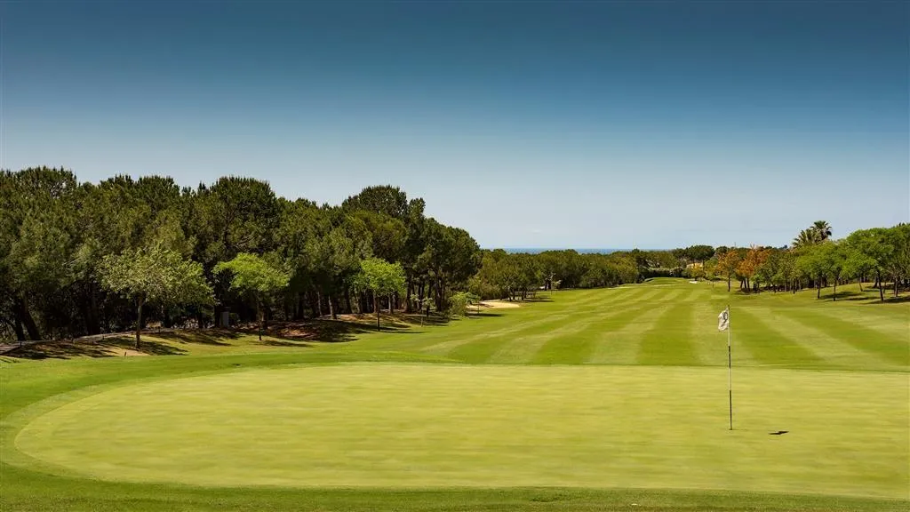 General view, Westin La Quinta Golf Resort & Spa, Costa Del Sol
