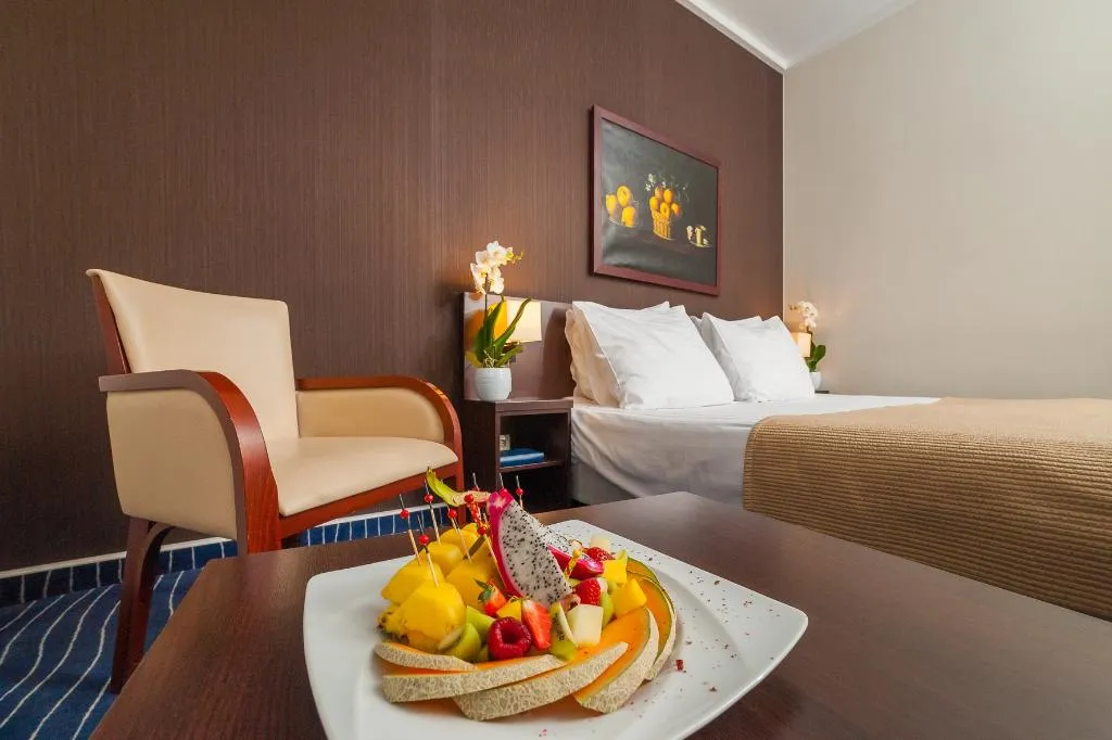 APARTMENT STANDARD Room, Express Kraków Hotel, Krakow