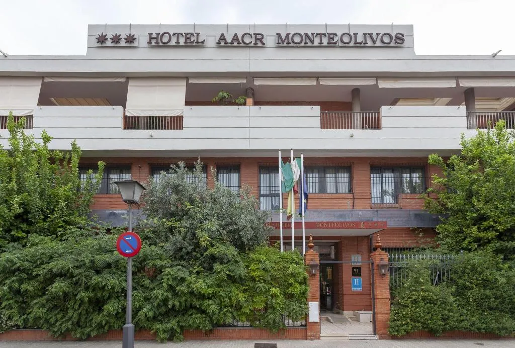 General view, AACR Monteolivos Hotel, Seville