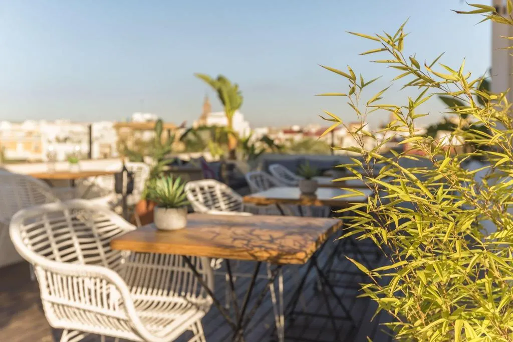 Terrace, The Corner House, Seville