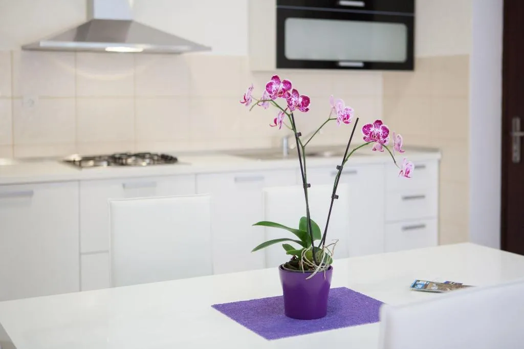 Room, Apartments Villa Kolar, Split